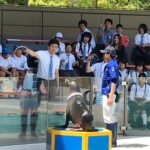 宮島水族館②