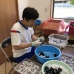 めばえ さん