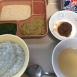中期食