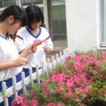 花のつくり①