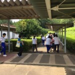 散歩①