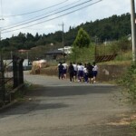 走る道を確認しました