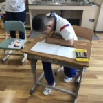 観察した苗の様子をまとめています。