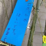 七夕⑤