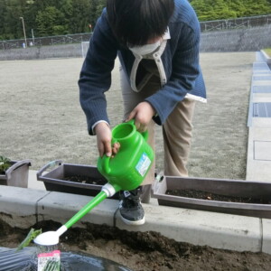 【寄宿舎】寄宿舎の畑