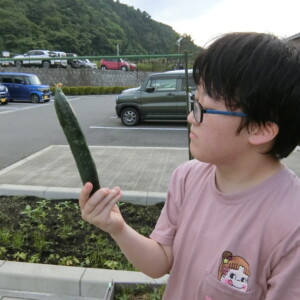 【寄宿舎】寄宿舎の畑